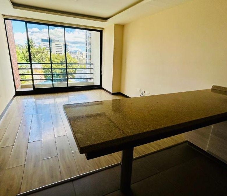 Departamento en Venta 2 Dorm. Calle Bossano Bellavista