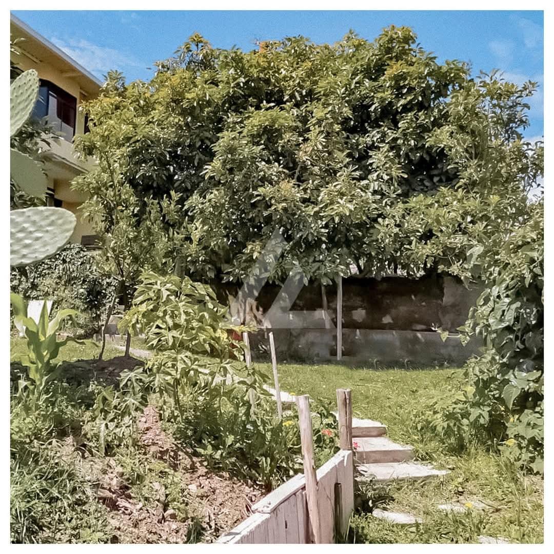 En Venta Terreno con Casa en Conocoto Puente 8 En Venta Terreno con Casa en Conocoto Puente 8